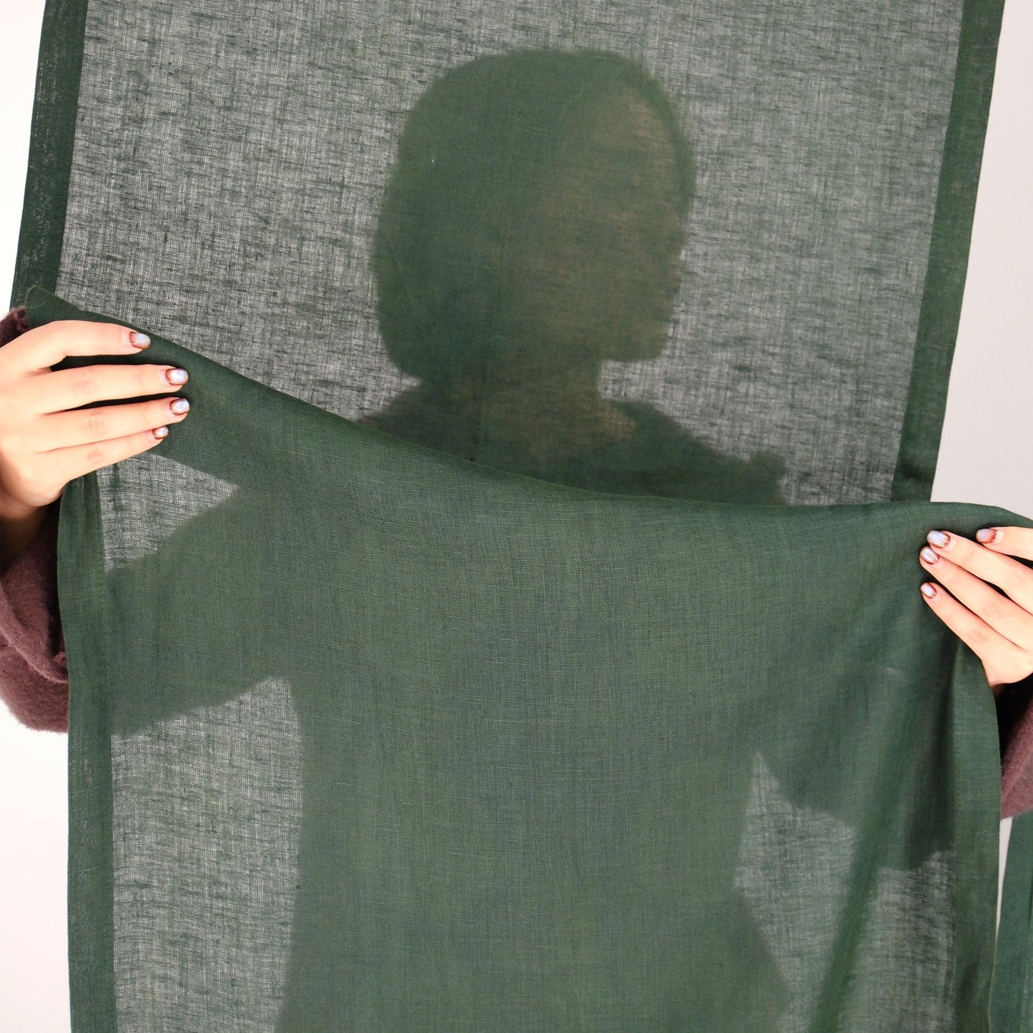 styled room scene with Soft Tone Noren — Sage Green used as a window or doorway curtain