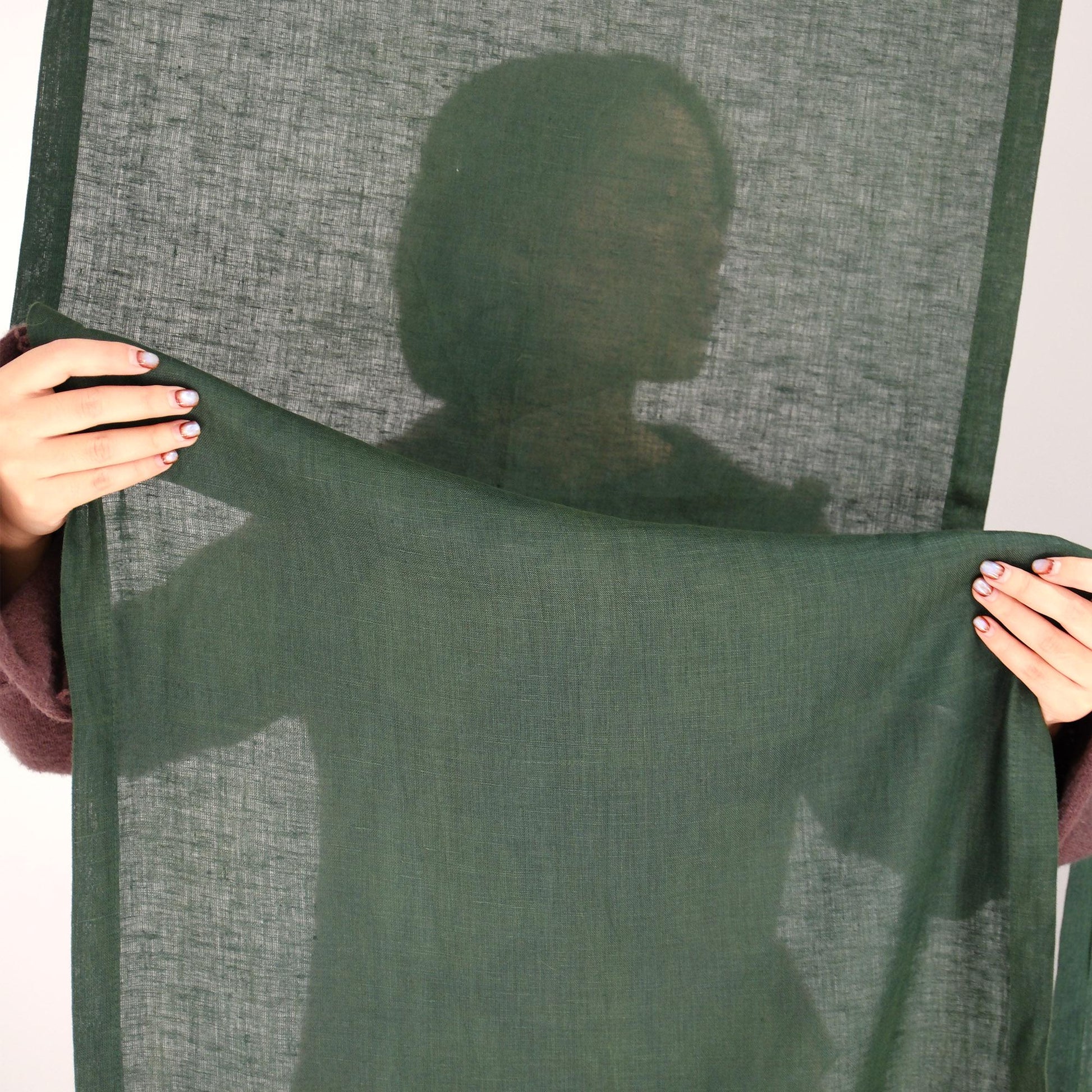 styled room scene with Soft Tone Noren — Sage Green used as a window or doorway curtain