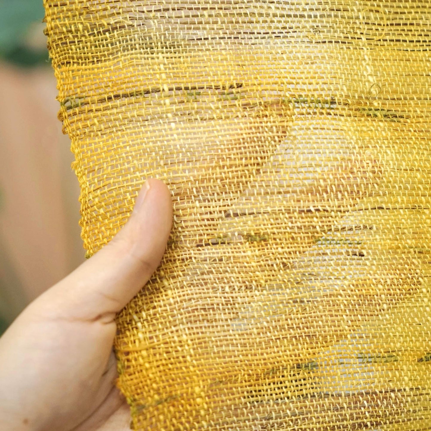 room scene featuring Ramie Ombre — Golden Yellow hung by a window or doorway