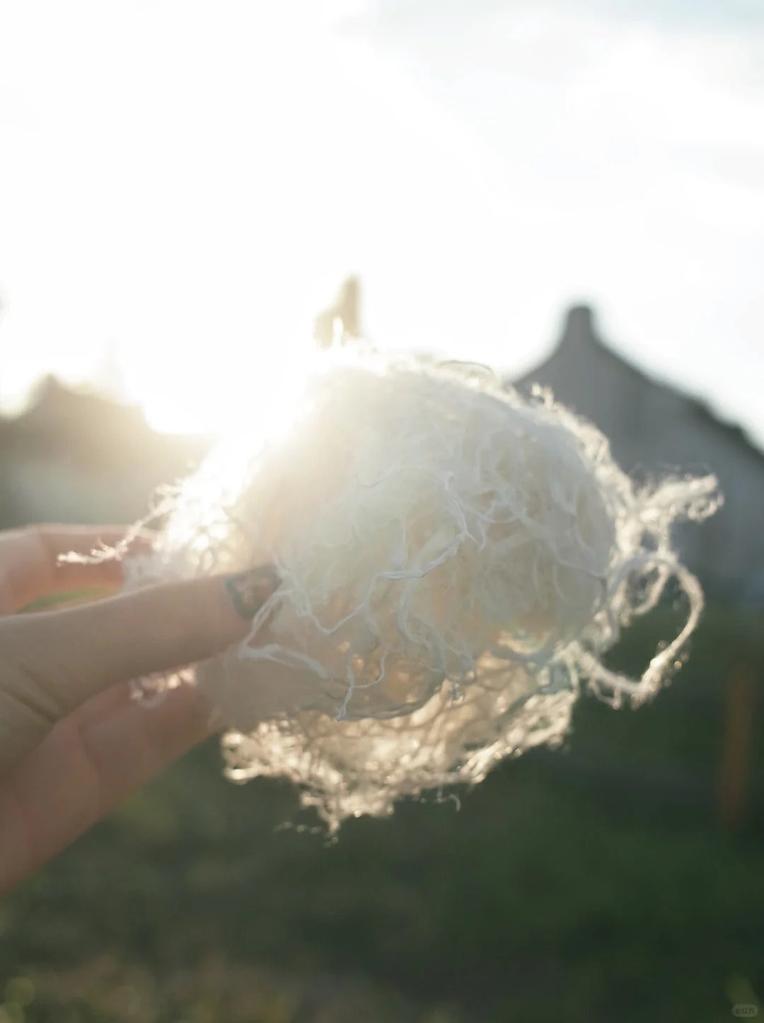 LiBu journal A Textile That Changes with the Room - editorial image